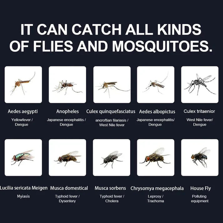 Mosquito Trap Indoor