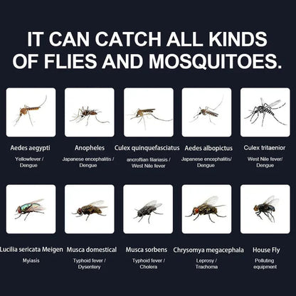 Mosquito Trap Indoor