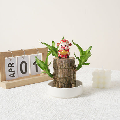 Four-season Flowering Hydroponic Brazilian Fortune Tree