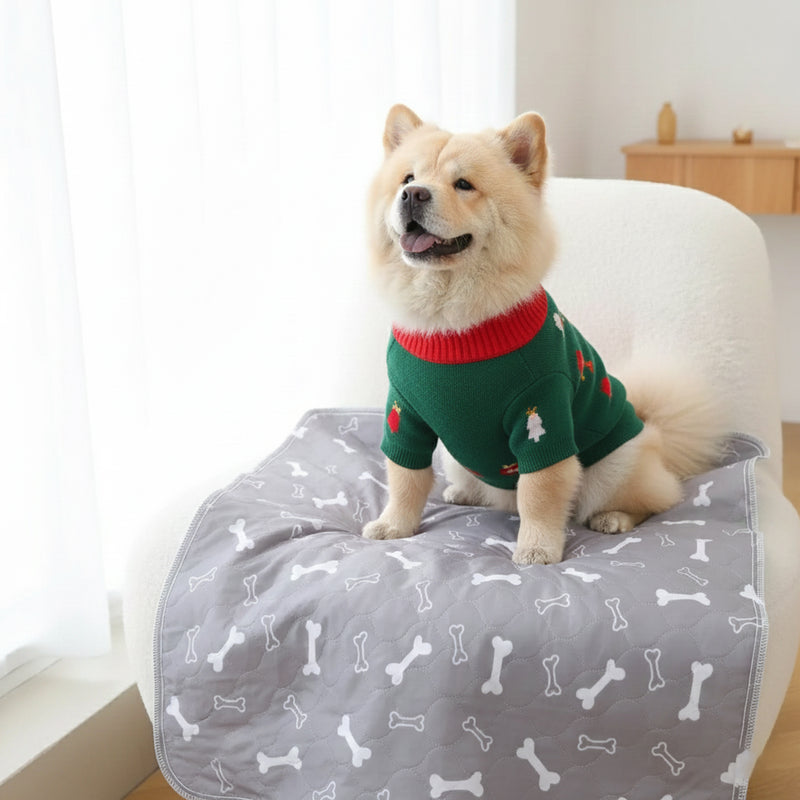 Large Washable Dog Pee Pad for Indoor Training and Floor Protection