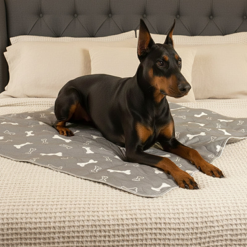 Large Washable Dog Pee Pad for Indoor Training and Floor Protection